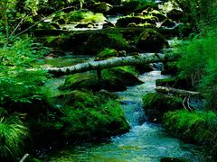 -汤旺河林海奇石景区
