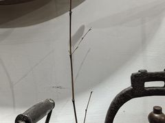 -请晋·山西餐社(好运街店)