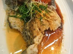 -皮记海鲜1995(寮步店)
