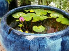 -西贝莜面村(香蜜湖店)