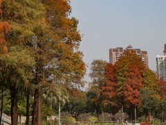 -四海公园(南山区)