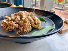 有机舞菇-煲宫猪肚鸡(晶品店)