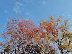 -老门东历史文化街区