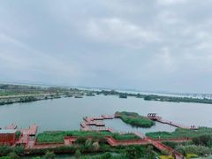-芒洲湿地公园