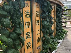-北戴河集发农业梦想王国