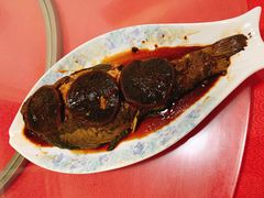 柴锅炖鱼-同福农家菜(霞云岭国家森林公园店)