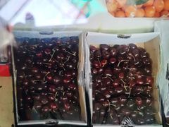 -江杨农产品批发市场