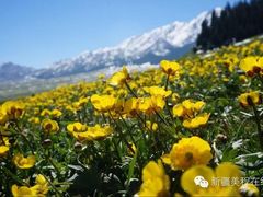 -美程在线国际旅行社