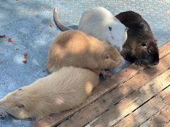 -水上乐园·欢乐世界