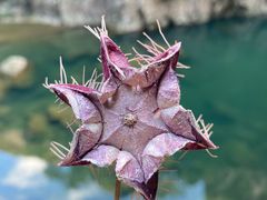 -楠溪江风景名胜区