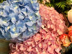 -爱尚幸福鲜花(上地实体店)