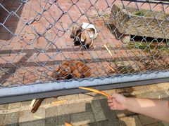 -长白岛森林公园