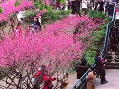 -重庆彩云湖湿地公园