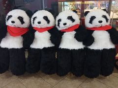 -茅庐毛血旺(临沂泰盛广场店)