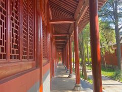 -洛阳白马寺