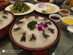虾生-沙龙酒家