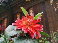 -海窝子古镇