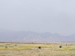 -敕勒川草原文化旅游区