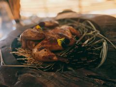 -Hi City·城市之巅