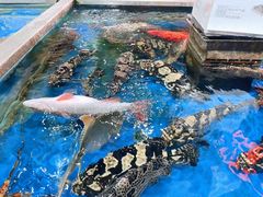 -盒马鲜生(枣园路店)