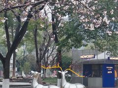-西北湖绿化广场
