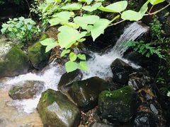 -藏龙百瀑风景区