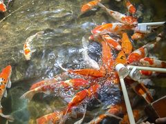 -太平洋海底世界