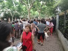 -上海市世外小学