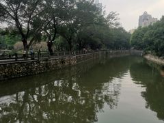 -晓港公园