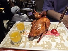 -大鸽饭(动物园店)