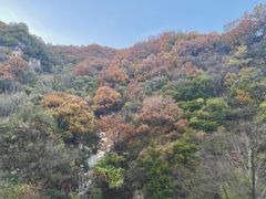 -沣峪口
