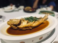花雕大黄鱼-南麓·浙里(外滩店)