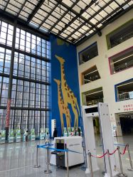 -南京市儿童医院(河西院区)