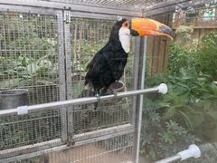 -南宫五洲植物乐园