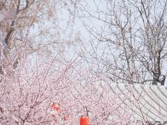 -三里河公园