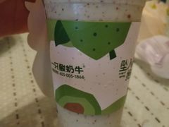 -一只酸奶牛(春熙路店)