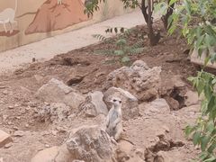 -石家庄市动物园