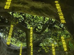 -横店影视城梦幻谷园区