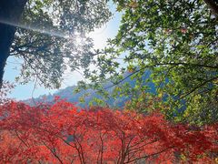 -五泄景区