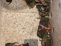 -莲花公园煎蟹(总店)