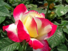 -人民公园(罗湖区)