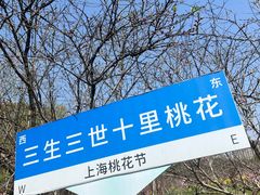 -南汇桃花村