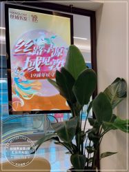 -丝域养发馆