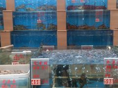 DSC_0454-东方之珠海鲜酒楼(南开店)