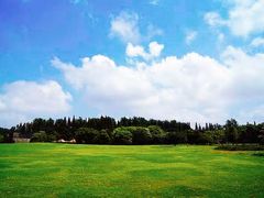 -上海滨江森林公园
