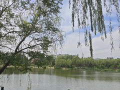 -北坞公园