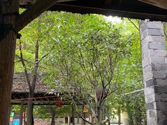 -水岸庭院·乡村柴火鸡