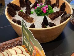 -季季山·云南野生菌火锅(上海首店)
