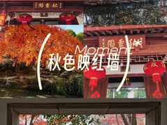 -秋霞圃