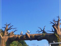 -梅岭月亮湾山体公园